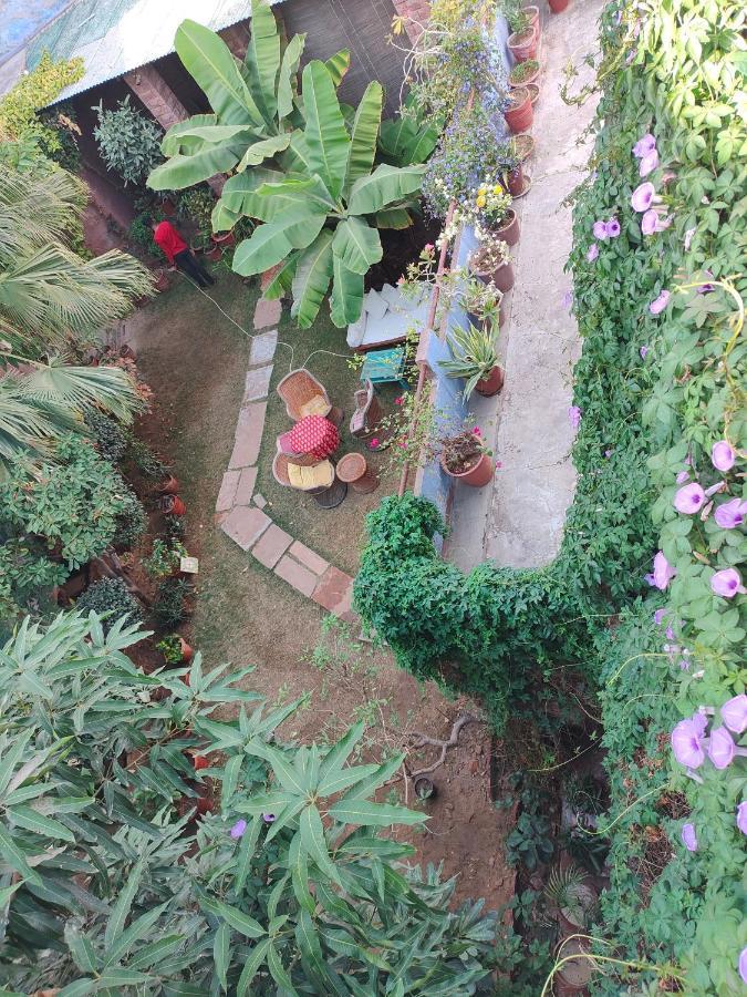 Bristows Haveli Homestay Джодпур Екстериор снимка